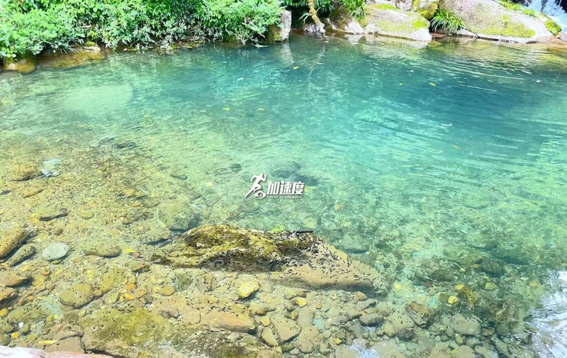 大(da)邑龍窩子(zi) (17).jpg