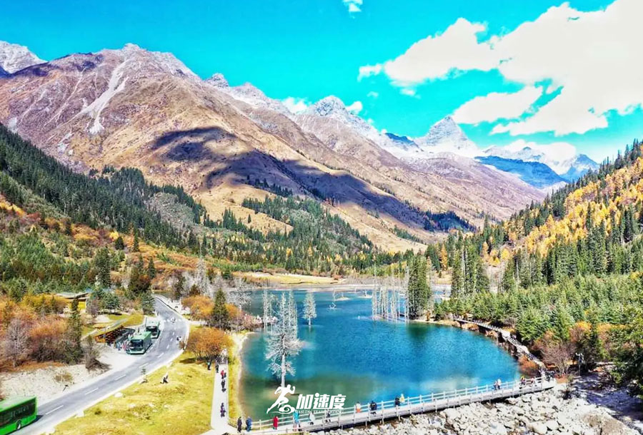 微信(xin)圖片_20240820145249.jpg