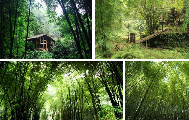 “春遊踏青季,團(tuán)建(jian)收心時“山(shān)美特2018春季團(tuán)建(jian)活動(dòng)及(ji)場(chang)地推薦17.jpg