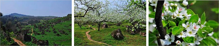 “春遊踏青季,團(tuán)建(jian)收心時“山(shān)美特2018春季團(tuán)建(jian)活動(dòng)及(ji)場(chang)地推薦9.jpg
